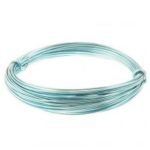 Aluminium Wire (1 mm) Baby Blue (10 Meter)