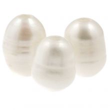 Freshwater Pearls (10 x 7 mm) Beige (10  pcs)