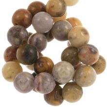 Crazy Lace Agate Beads (10 mm) 35 pcs