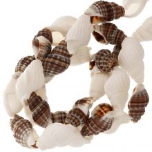 Shell Beads (10 - 16 x 7 - 10 mm) Brown White (145 pcs)