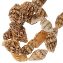 Shell Beads (10 - 16 x 7 - 10 mm) Brown (30 pcs)