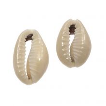 Cowrie Shell Beads (13 - 16 mm) Dark Khaki (20 gram / ca. 50 pcs)