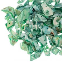 Shell Chip Beads (7 - 12 x 9 - 27 x 1.5 - 4 mm) Neptune Green (50 gram)