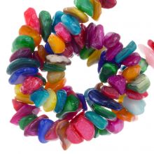 Shell Beads (5 - 10 mm) Mix Color (300 pcs)