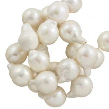 Freshwater pearls (15 - 13 mm) Ivory (28 pieces)