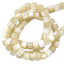 Shell Beads (4 x 3 mm) Pale (130 pcs)