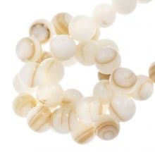 Shell Beads (6 mm) Brown (63 pcs)