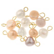 Freshwater Pearl Jewelry Connector (14 - 15 x 6.5 - 8 mm) Mix Color-Gold (10 pcs)