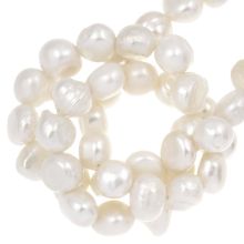 Freshwater Pearls (6 - 8 x 4.5 - 6 x 5 - 6.5 mm) White (26  pcs)