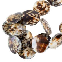 Shell Beads (20 x 5 mm) Limpet (20 pcs)