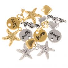 Charm Mix (11 - 24 x 11.5 - 19 mm) Antique Silver -Gold (16 pcs)