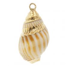 Shell Charm (27 - 31 x 13 - 16 x 11 - 13 mm) Electroplated Brown (3 pcs)