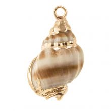 Shell Charm (18 - 25 x 9 - 16 x 7 -12 mm) Electroplated Brown (3 pcs)