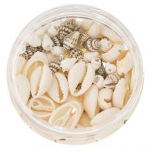 Bead Kit - Cowrie Shell Beads and Decorative Shells (various sizes) 200 pcs