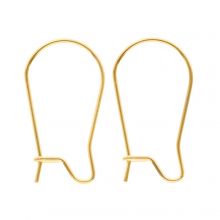 Stainless Steel Earring Hooks (20 x 9.5 mm) Gold (10 pcs)