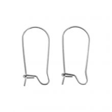 Stainless Steel Earring Hooks (20 x 12 mm) Antique Silver (10 pcs)