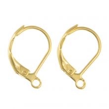 Stainless Steel Leverback Earrings (15 x 10 mm) Gold (4 pcs)