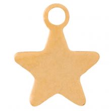 Stainless Steel Charm Star (10 x 8 x 0.8 mm) Gold (10 pcs)