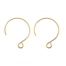 Stainless Steel Earring Hooks (24 x 19 mm) Gold (10 pcs)