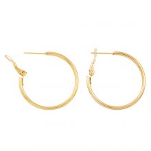 Stainless Steel Hoop Earrings (30 x 2 mm) Gold (2 pcs)