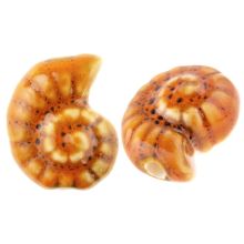 Ceramic Beads Shell Snail (17 x 21 x 10 mm) Desert Sun (3 pcs)