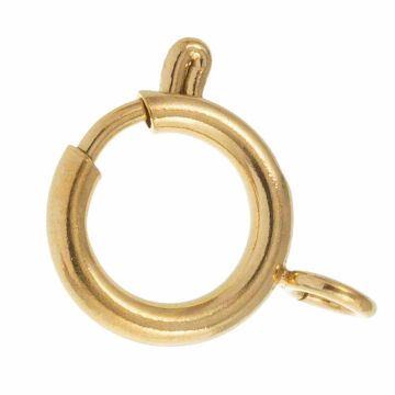 Stainless Steel Spring Clasps (17 x 12 x 2 mm) Gold (1 pcs)