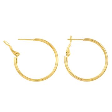 Stainless Steel Hoop Earrings (30 x 2 mm) Gold (2 pcs)