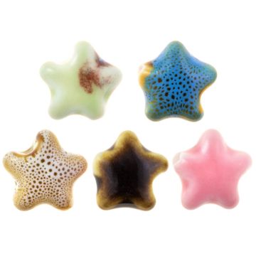 Ceramic Beads Star (13.5 x 15 x 7.5 mm) Mix Color (5 pcs)