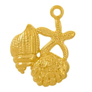 Stainless Steel Pendant Shell Starfish (29 x 22 x 4.5 mm) 14K Gold Ion Plated (1 pcs)